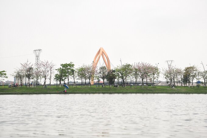 Mỗi lần đi qua cung đường ven hồ, vẻ đẹp của hoa đỗ mai khiến nhiều người xao xuyến, cảm giác như đang được ở tại Đà Lạt, nhất là vào sáng sớm khi thời tiết se lạnh. Nhiều du khách không cưỡng lại được vẻ đẹp của hoa và cả cung đường mà lưu lại những kỷ niệm trong những ngày cuối tháng 3.