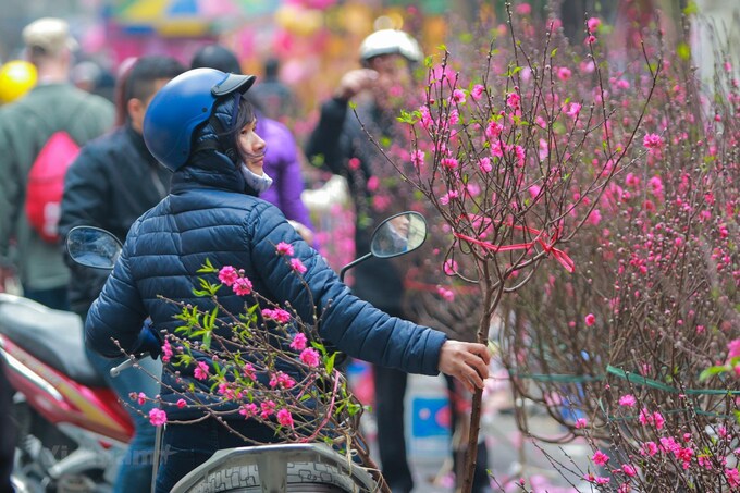 Chốt phương án nghỉ Tết Âm lịch từ ngày 8/2/2024 đến hết ngày 14/2/2024