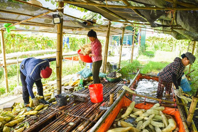 Toàn cảnh xưởng sản xuất sơ mướp 'made in Việt Nam'.