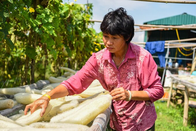 Công đoạn phơi vỏ xơ mướp đòi hỏi người thợ phải trau truốt tỉ mỉ
