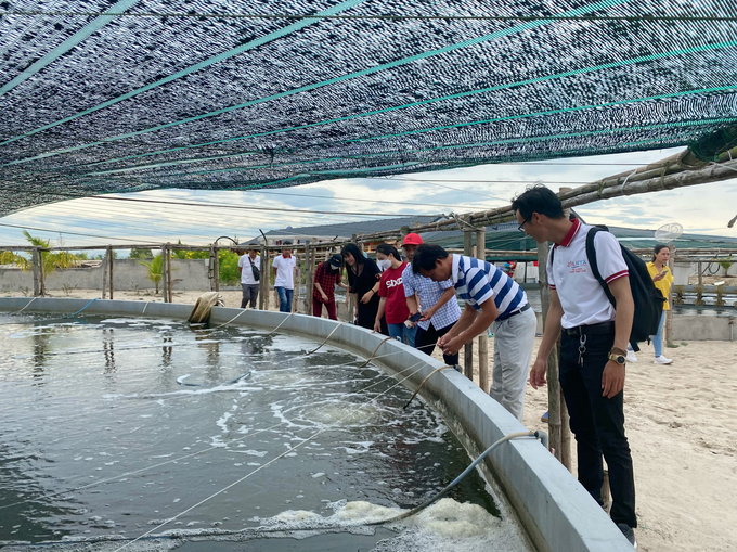 Khảo sát Trang trại Eco Village Huế thuộc Công ty Eco Village Vietnam.