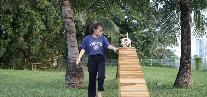 Từ ngày công viên cho thú cưng mở cửa, số gia đình đưa chó đến trải nghiệm gia tăng, đa phần là các hộ trên địa bàn quận Hoàng Mai