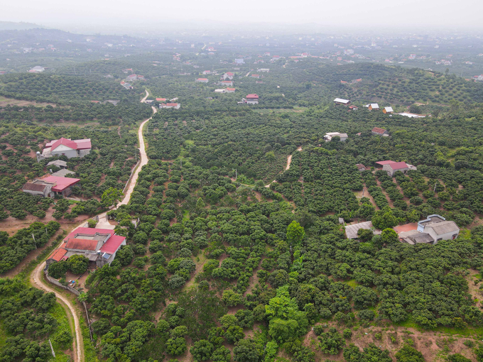 Toàn cảnh khu vực.