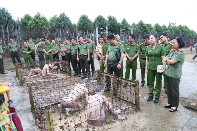 Đoàn thăm và tham quan tại nhà trưng bày.