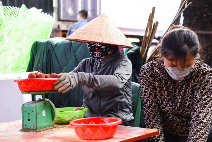 Bà Phạm Thị Ngọt chủ một điểm cân nằm trên xã Phì Điền (Lục Ngạn, Bắc Giang) cho biết: 'Mỗi ngày gia đình tôi thuê khoảng hơn 40 công nhân lao động, đóng 1 container hàng đi xuất khẩu sang thị trường Trung Quốc tiêu thụ. Đối với thùng xốp sản lượng giao động từ 11 tấn/1 container, thùng nhựa sản lượng giao động từ 17-22 tấn/1 container', bà Ngọt nói.