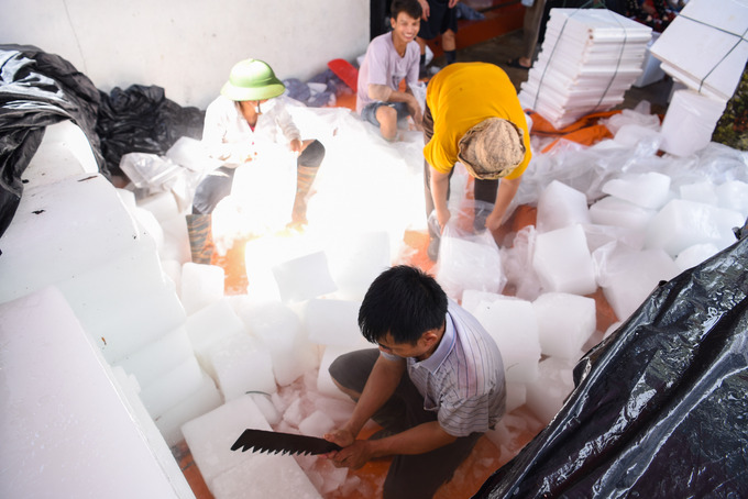 Mỗi người một công đoạn, người chặt đá, người đóng gói thành túi nhỏ để ướp lạnh tại thùng xốp nhằm giữ cho quả vải thiều được tươi, ngon.