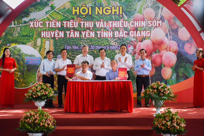 Đại diện doanh nghiệp, hợp tác xã ký biên bản ghi nhớ tiêu thụ vải thiều.