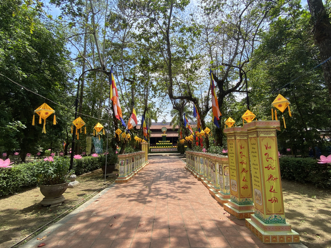Đèn lồng trang trí rực rỡ