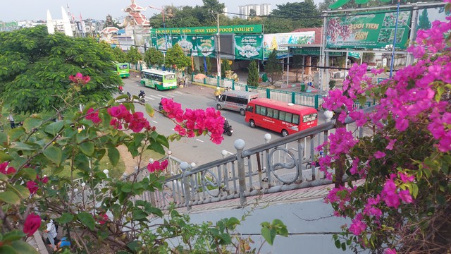 Các loại xe ghế ngồi lấn át vị trí xe buýt trước cổng KDL Suối Tiên
