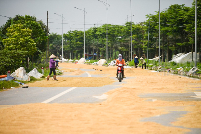 Chủ tịch UBND tỉnh Bắc Ninh Nguyễn Hương Giang vừa có chỉ đạo 'khẩn' xử lý nghiêm việc sử dụng lòng đường, vỉa hè để tuốt lúa, phơi thóc, đốt rơm rạ và dựng rạp tổ chức đám tang, đám cưới, đám hỏi, liên hoan làm mất TTATGT trên các tuyến đường giao thông.