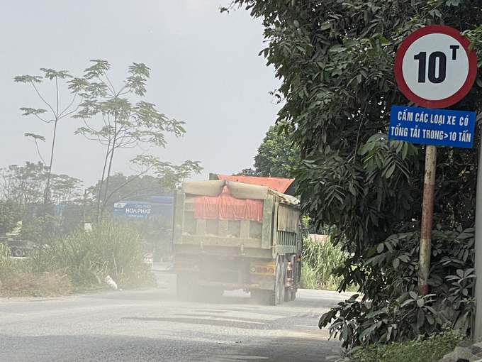 Xe tải nặng phớt lờ biển P.115
