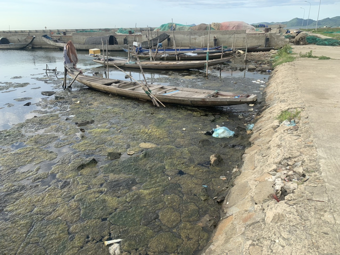 đầm phá 3