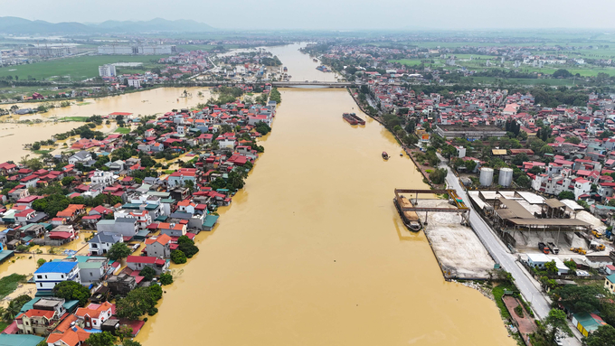 Nhiều ngôi nhà có nguy cơ chìm sâu trong biển nước.
