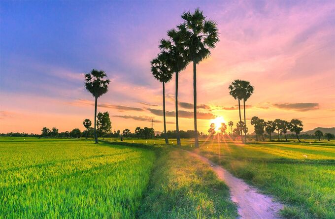 An Giang cần đẩy mạnh phát triển hạ tầng số, chuyển đổi số, tận dụng thành tựu của cuộc cách mạng công nghiệp lần thứ tư để nâng cao năng suất, chất lượng, hiệu quả