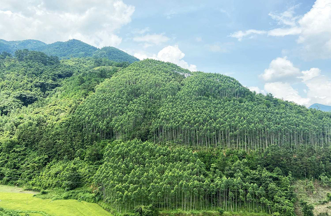 Tính đến thời điểm hiện tại tổng diện tích chuyển đổi mục đích sử dụng rừng của dự án cao tốc Bắc - Nam giai đoạn 2 khoảng hơn 1.404 ha