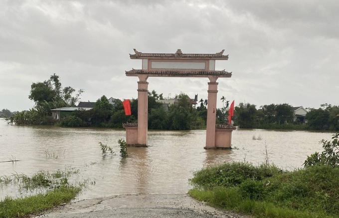 lụt QT