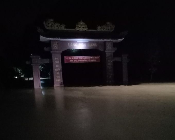 lụt QT3