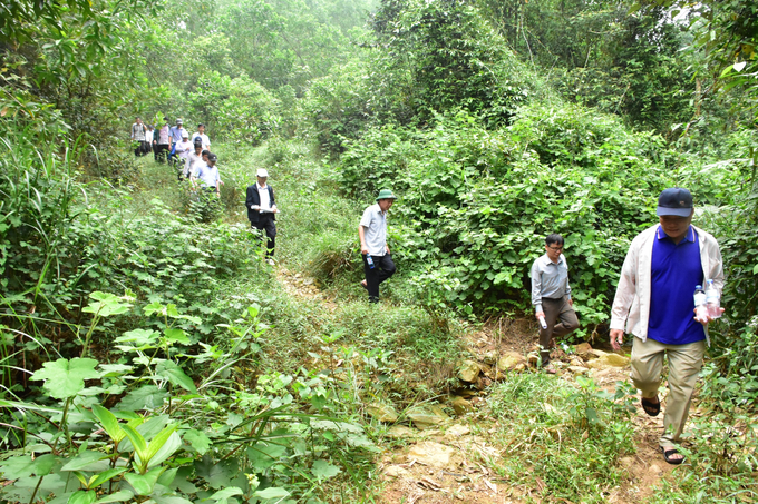 pct5