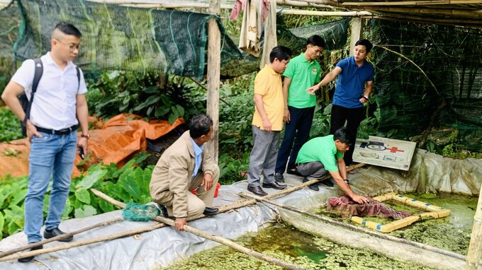 Mô hình nuôi trồng thuỷ sản tại thị trấn Phú Đa (Phú Vang)