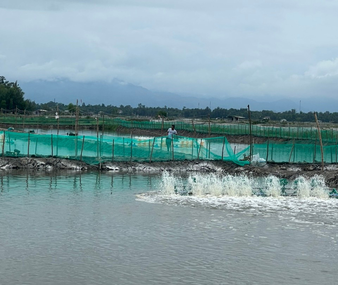 Diện tích nuôi trồng thuỷ sản toàn huyện Phú Vang là 2.850 ha, với sản lượng đạt 3.500 tấn