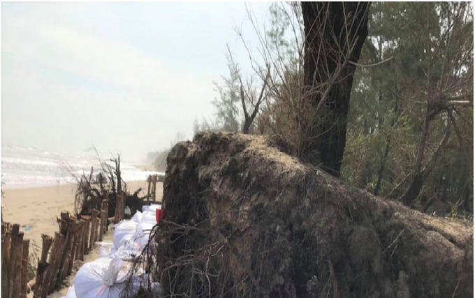 Dự án xử lý sạt lở bờ biển, đoạn qua xã Phú Thuận và xã Phú Hải. Ảnh AT