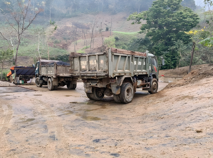 Phương tiện bị tạm giữ