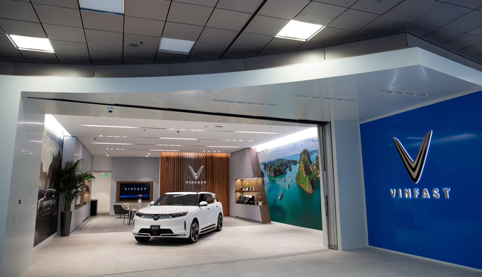 Store Opening 6