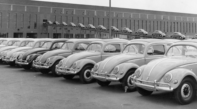 Beetle đã được phân phối khắp châu Âu và thậm chí lan rộng sang cả Bắc Mỹ