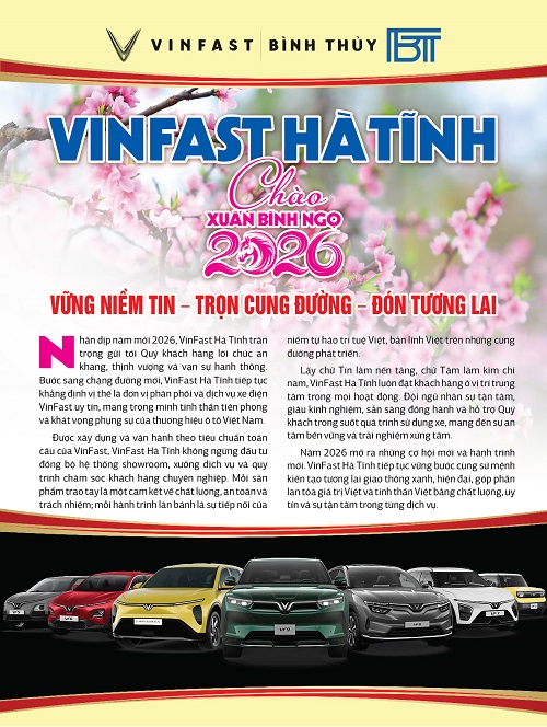 VinFast  Binh Thuy